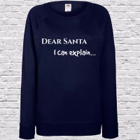 Dear Santa - I Can Explain Jumper