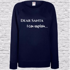 Dear Santa - I Can Explain Jumper