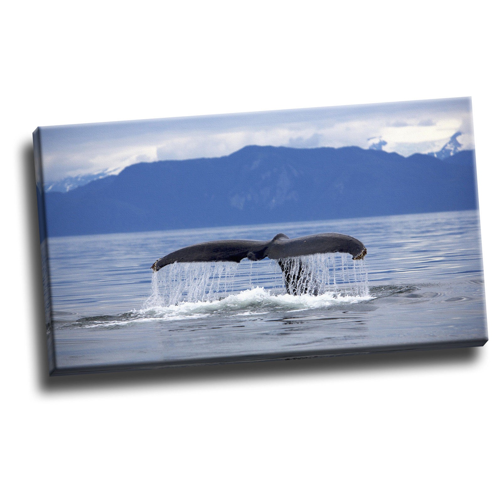 Frederick Sound Humpback Whale Alaska Canvas Picture Poster Art 